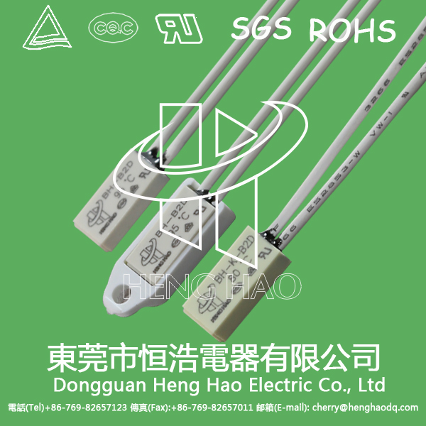 BW-ABS温度开关,BW-ABS温控开关,BW-ABS热保护器